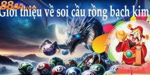 Rồng Bạch Kim 247